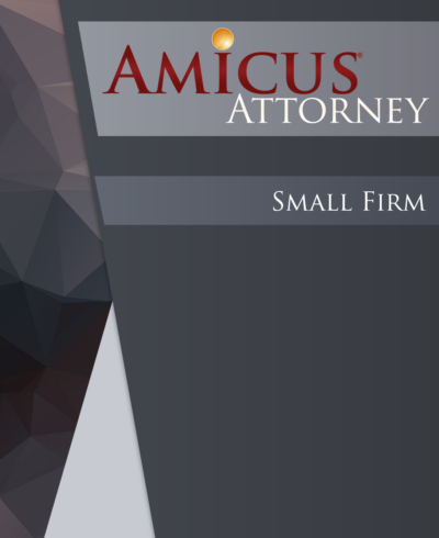 Amicus Attorney Small Firm Support